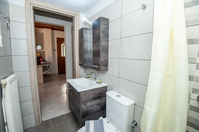 Shower and basin in the bathroom